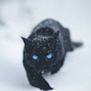 Meet your Posher, Liz